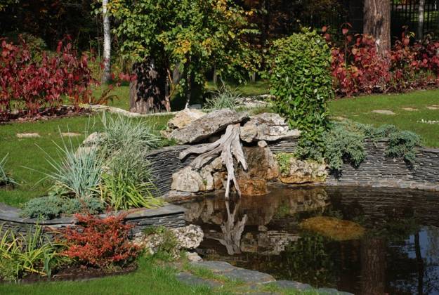 stumps in garden design photos