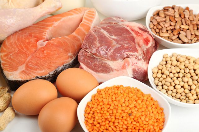 Proteins – the building material of the body