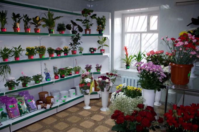 Business idea: flower shop