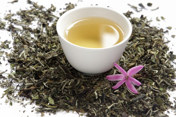 Everything you need to know about white tea