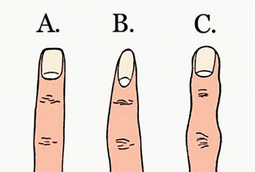 Что форма пальцев расскажет о характере человека