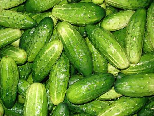 How to get a stunning crop of cucumbers