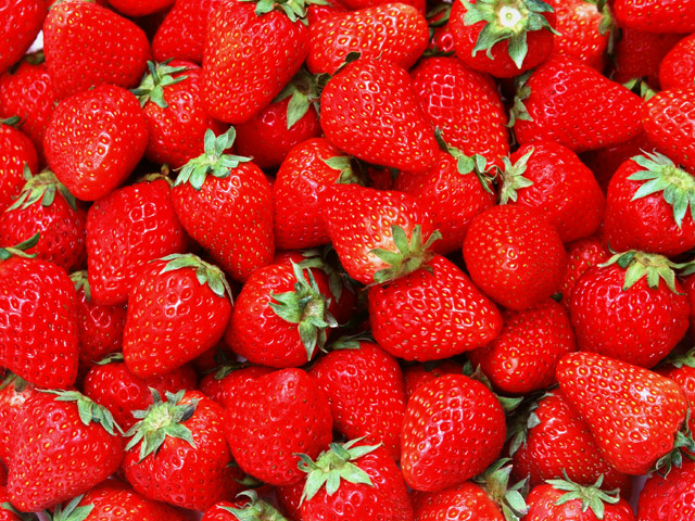 How to care for strawberries in the summer to harvest