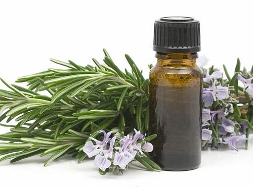 Properties of rosemary essential oil