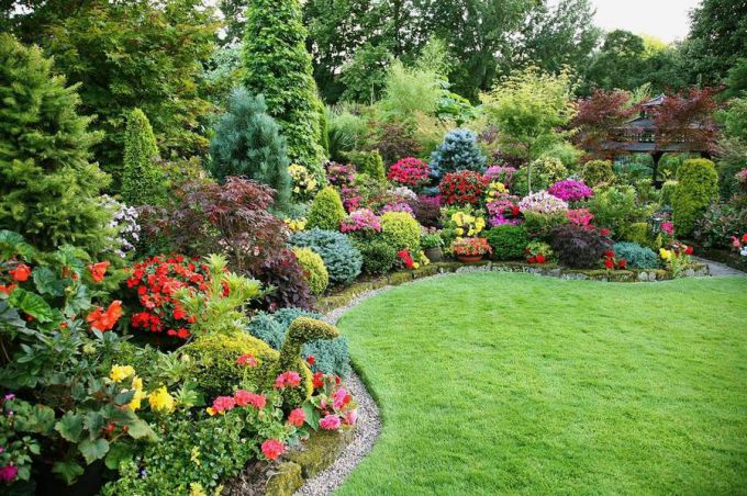 Planning a garden: how to make a garden beautiful