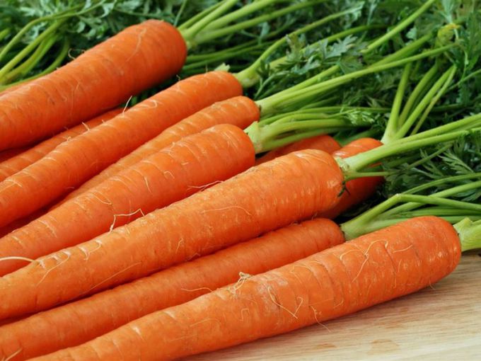 Все о моркови