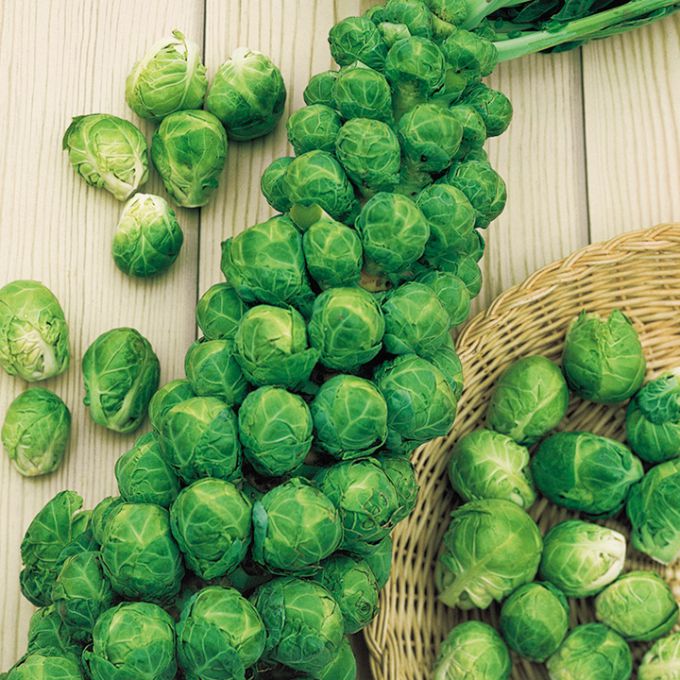 Brussels sprouts