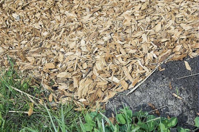 How to choose the right mulch