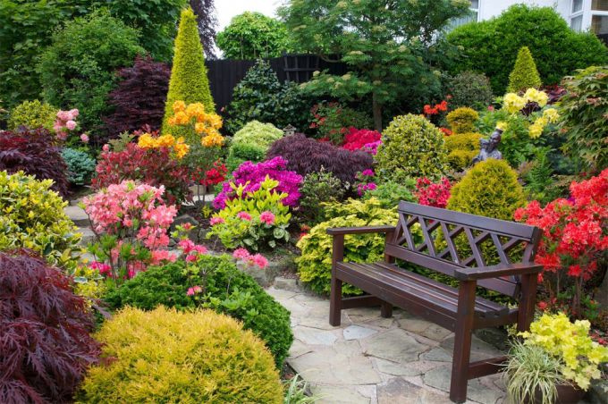 Some helpful tips for beginners in landscape design