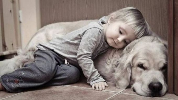 Pets in the lives of children