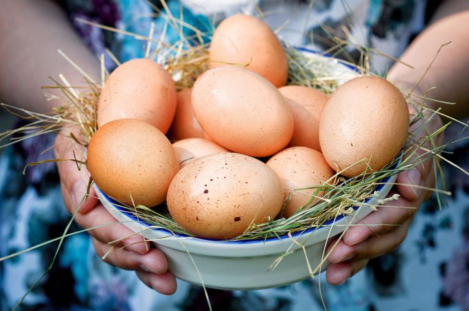 Чем полезны яйца?