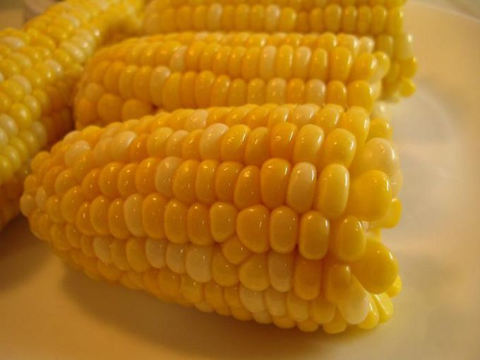 Кукуруза для мультиварки