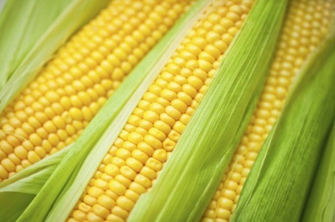 Сколько нужно варить кукурузу