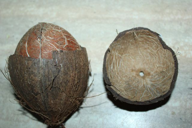Как открыть кокос за две минуты