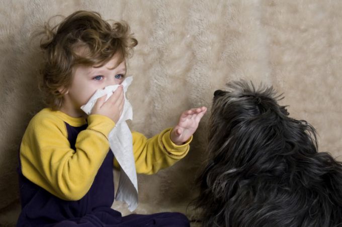 Аллергический кашель: симптомы, лечение у детей и взрослых 