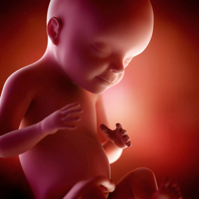 40 недель беременности: ощущения, развитие плода