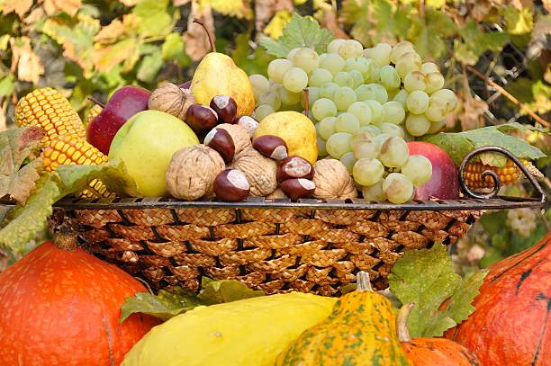 Какие плоды необходимо есть в ноябре