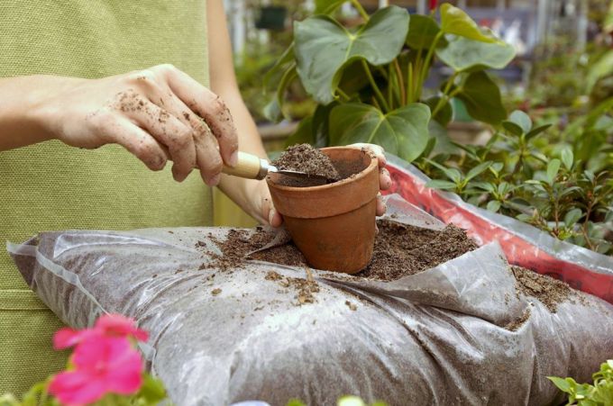 Как улучшить почвогрунт