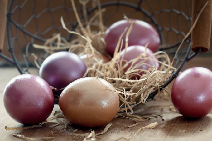Что приготовить из вареных яиц после Пасхи