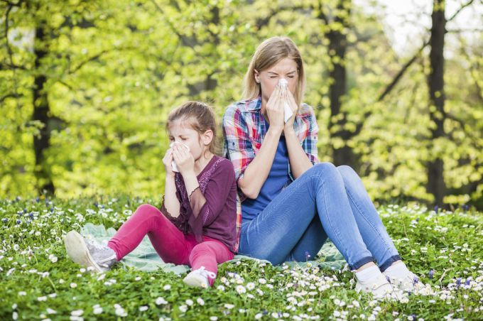 Сезонная аллергия также известна как поллиноз или сенная лихорадка