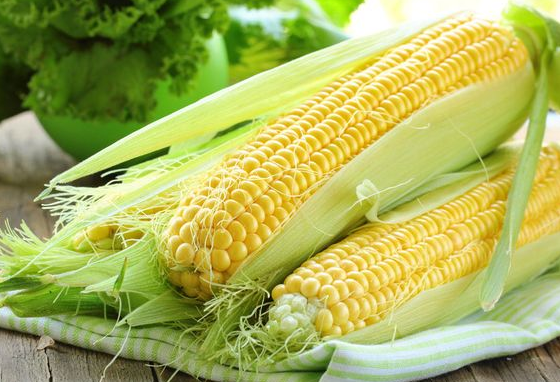 Как сварить кукурузу, чтобы она стала вкусной и сочной