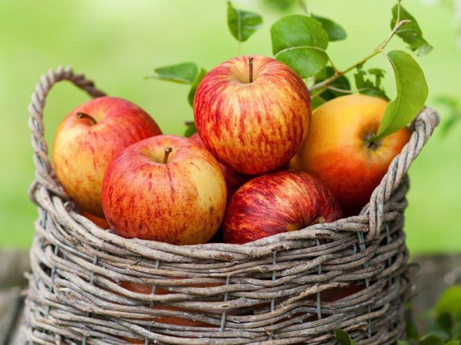 Можно ли есть яблоки при диабете 2 типа