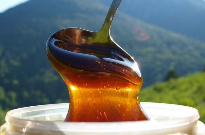 Гречишный мед: пошаговые рецепты с фото для легкого приготовления