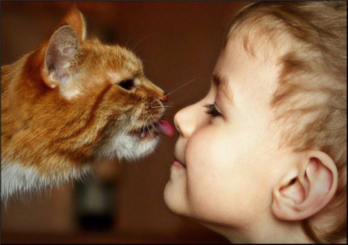 Что делать, если у ребенка аллергия на кошек