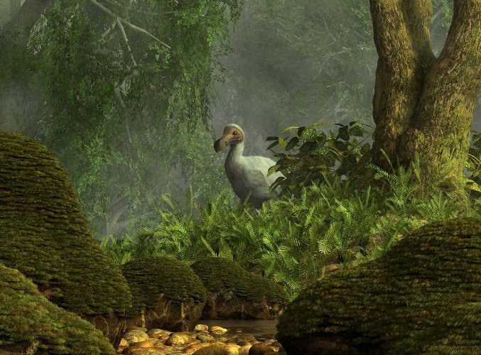 Птица додо: история истребления