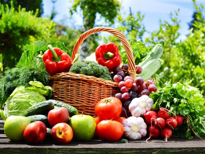 Чем подкормить овощные культуры во время плодоношения: универсальное народное средство