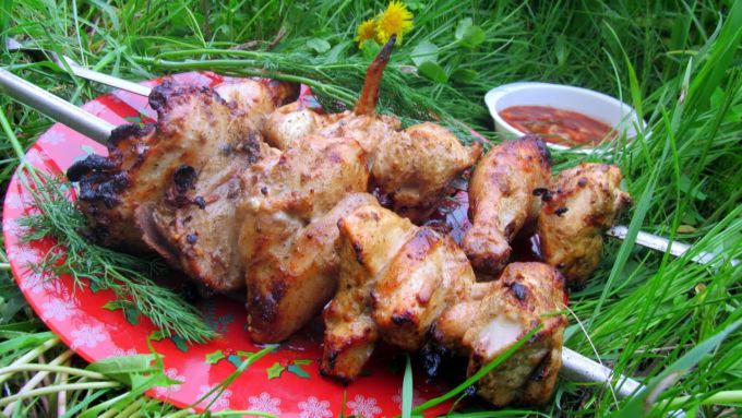 Рецепт шашлык из курицы на мангале рецепт с фото из