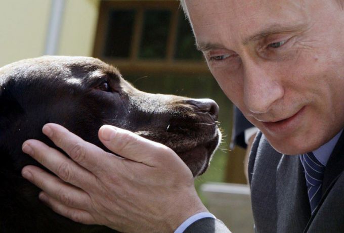 Какой породы собака у Путина?