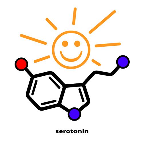 серотонин - гормон хорошего настроения