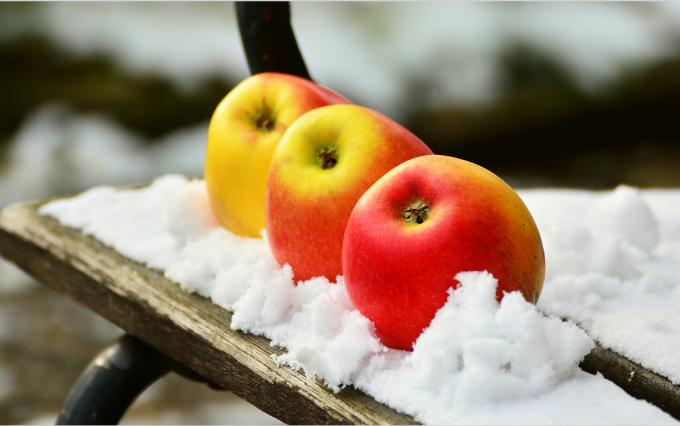 Как сохранить яблоки на зиму свежими