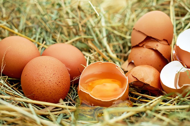 Как хранить яйца и как проверить их свежесть