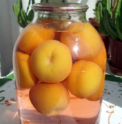 Как закрыть персики на зиму 