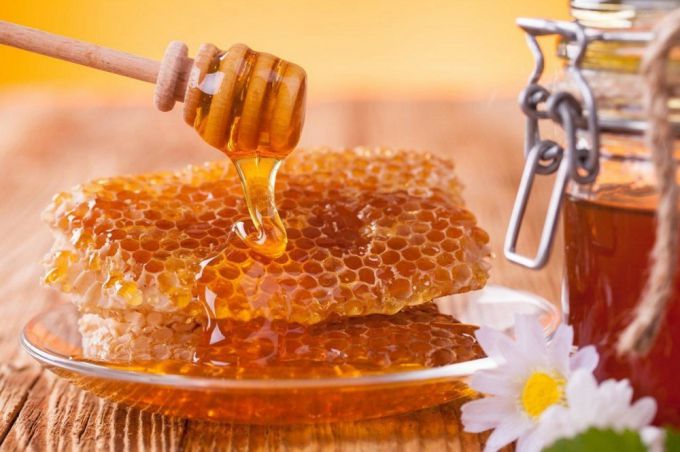 Мед диких пчел – целебный источник