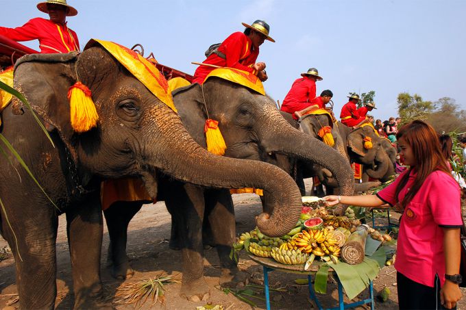 день тайского слона