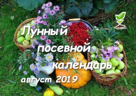 Лунный посадочный календарь садовода-огородника на август 2019