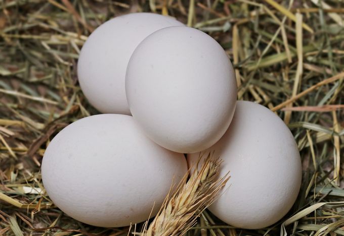 День яйца: возникновение и правила проведения