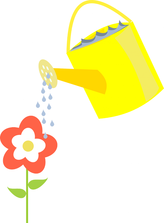 Полив цветка