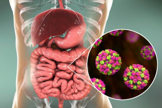 Как защититься от ротавирусной инфекции в отпуске: советы и роль Энтерофурил