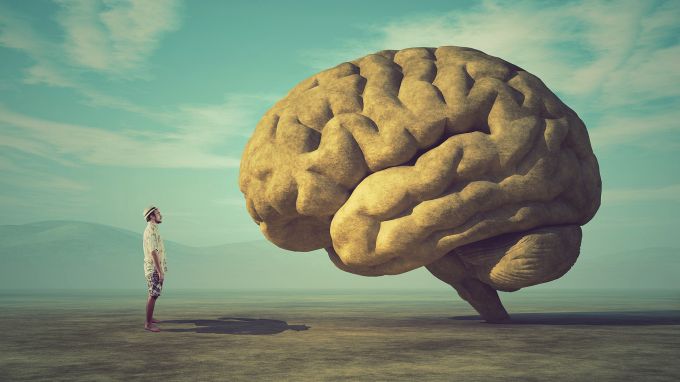 9 мифов о человеческом мозге