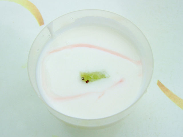 4. Йогурт